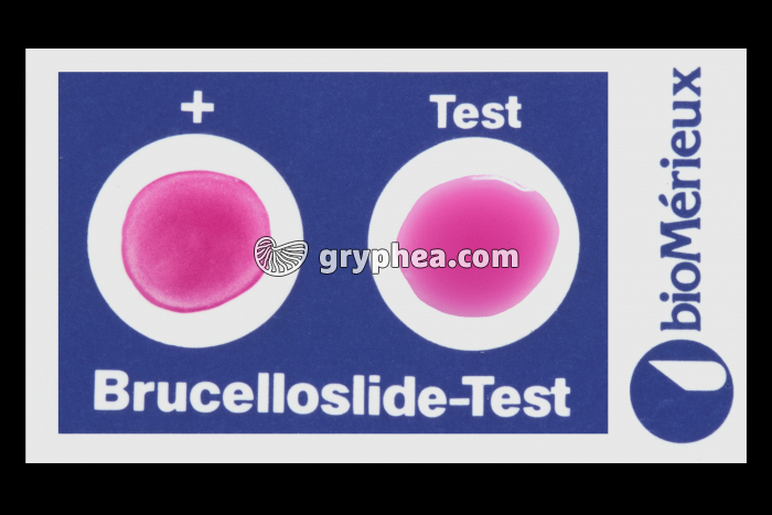 Test d'agglututination Brucellose - gryphea.org